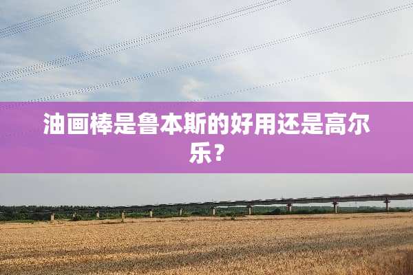 油画棒是鲁本斯的好用还是高尔乐？