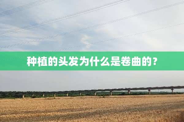 种植的头发为什么是卷曲的？