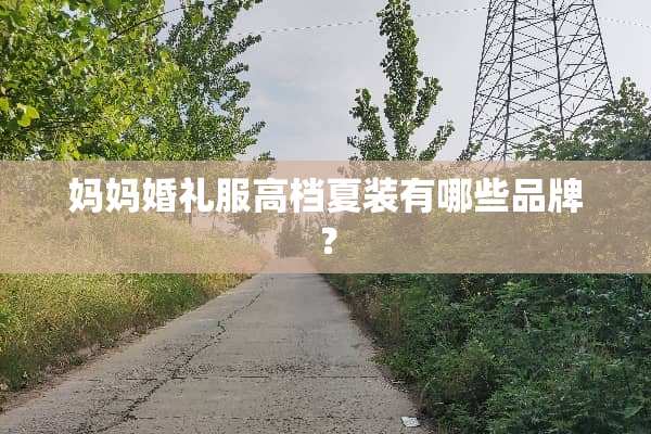 妈妈婚礼服高档夏装有哪些品牌？