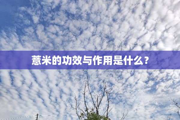 薏米的功效与作用是什么？