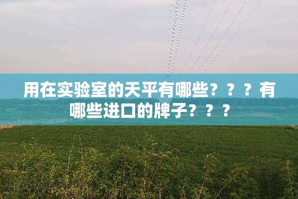 用在实验室的天平有哪些？？？有哪些进口的牌子？？？