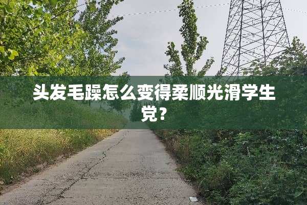 头发毛躁怎么变得柔顺光滑学生党？