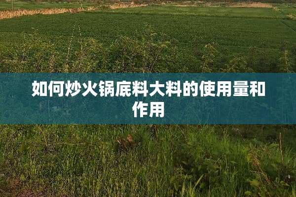 如何炒火锅底料大料的使用量和作用