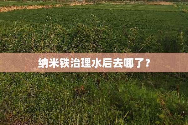 纳米铁治理水后去哪了？