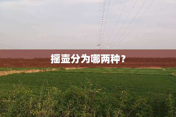 摇壶分为哪两种？