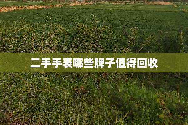二手手表哪些牌子值得回收