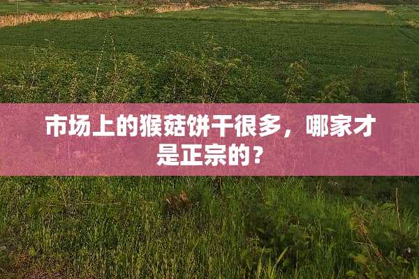 市场上的猴菇饼干很多，哪家才是正宗的？