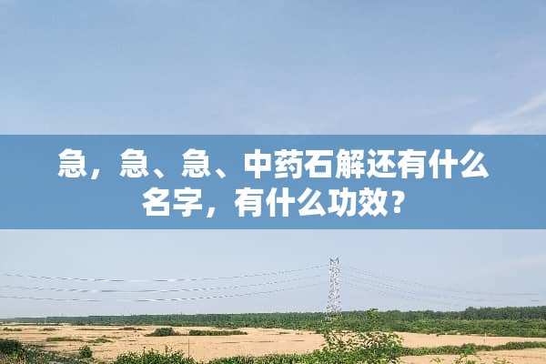 急，急、急、中药石解还有什么名字，有什么功效？