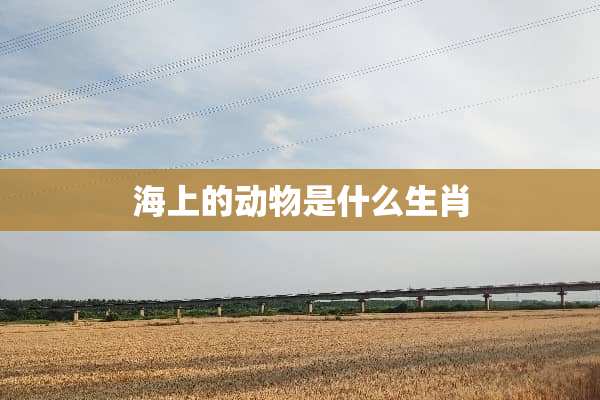 海上的动物是什么生肖