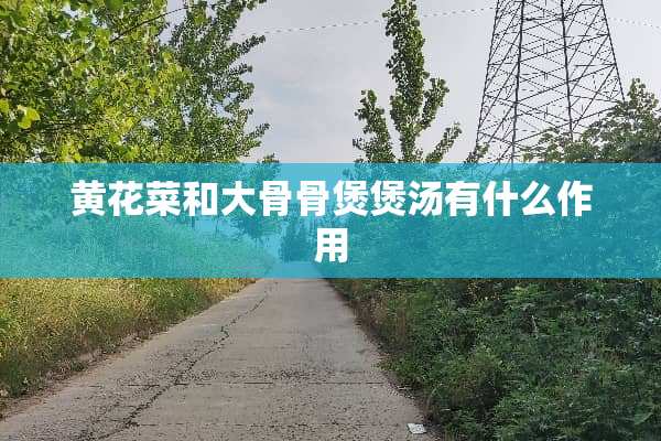 黄花菜和大骨骨煲煲汤有什么作用