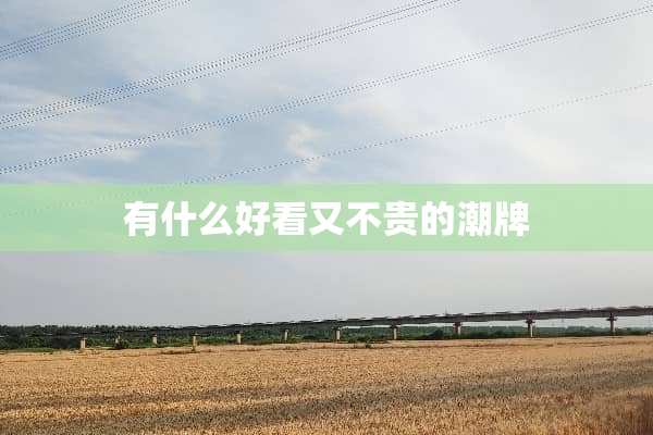 有什么好看又不贵的潮牌