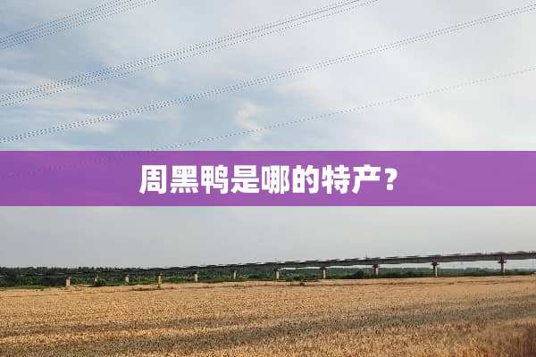 周黑鸭是哪的特产？