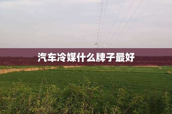 汽车冷媒什么牌子最好