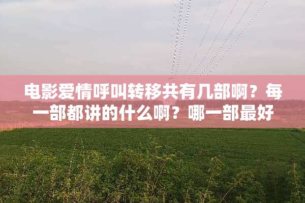电影爱情呼叫转移共有几部啊？每一部都讲的什么啊？哪一部最好看？