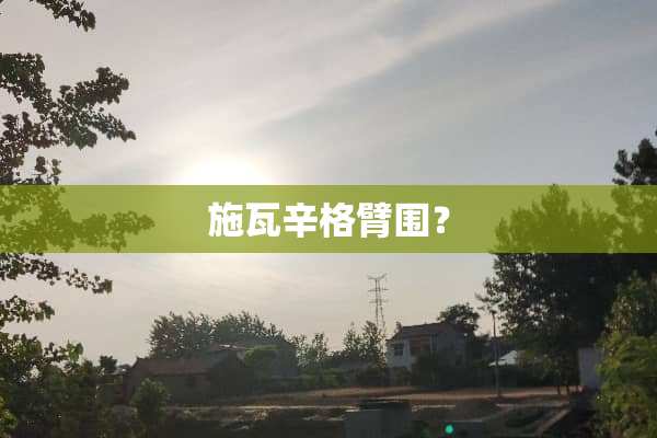 施瓦辛格臂围？