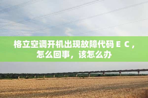 格立空调开机出现故障代码ＥＣ，怎么回事，该怎么办