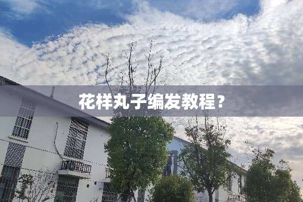 花样丸子编发教程？