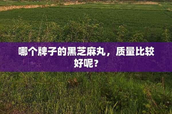 哪个牌子的黑芝麻丸，质量比较好呢？