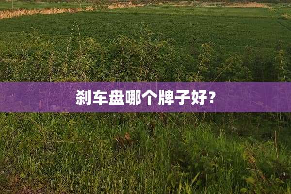 刹车盘哪个牌子好？
