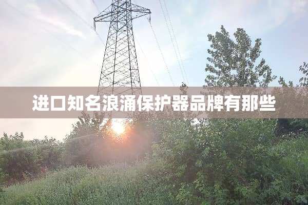 进口知名浪涌保护器品牌有那些