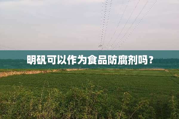 明矾可以作为食品防腐剂吗？