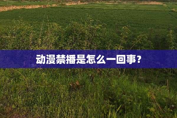动漫禁播是怎么一回事？
