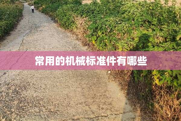 常用的机械标准件有哪些