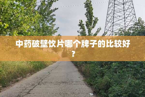 中药破壁饮片哪个牌子的比较好？