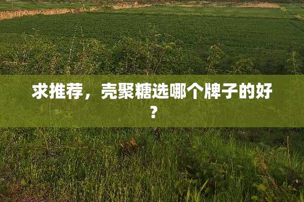 求推荐，壳聚糖选哪个牌子的好？