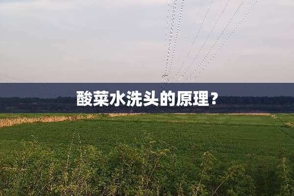 酸菜水洗头的原理？