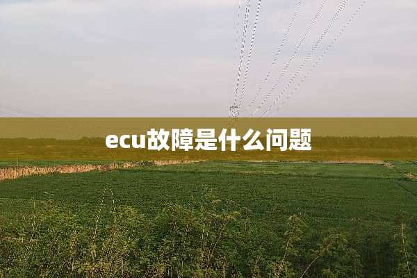 ecu故障是什么问题
