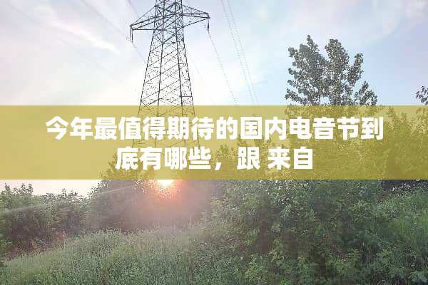 今年最值得期待的国内电音节到底有哪些，跟 来自