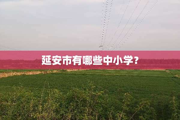 延安市有哪些中小学？