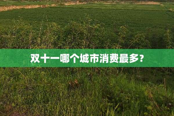 双十一哪个城市消费最多？
