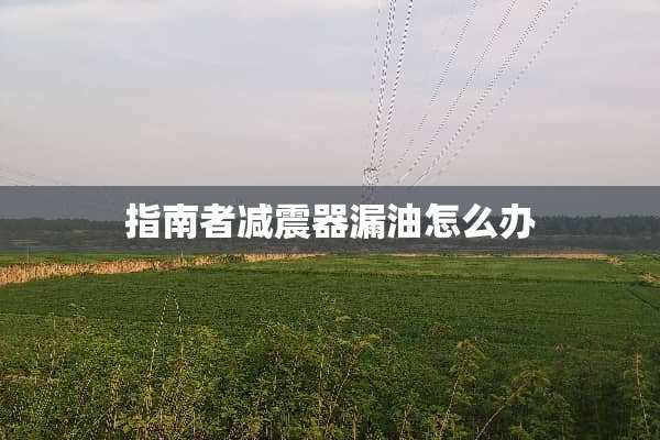 指南者减震器漏油怎么办