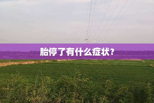胎停了有什么症状？