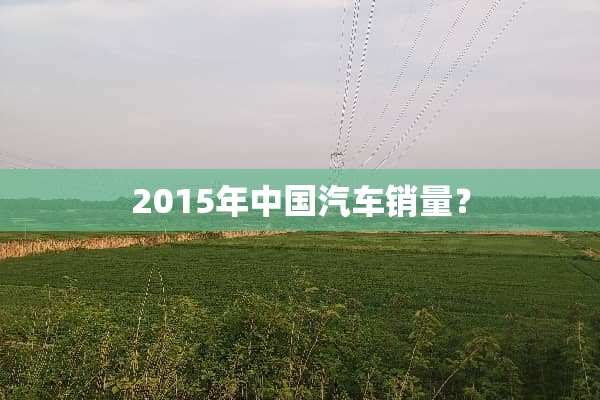2015年中国汽车销量？