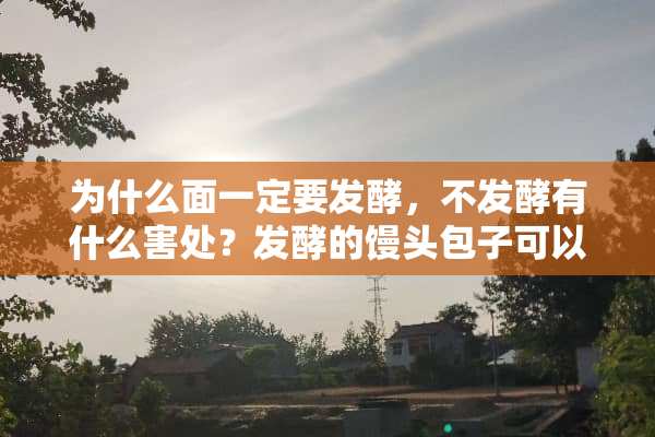 为什么面一定要发酵，不发酵有什么害处？发酵的馒头包子可以吃吗？