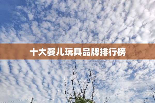 十大婴儿玩具品牌排行榜