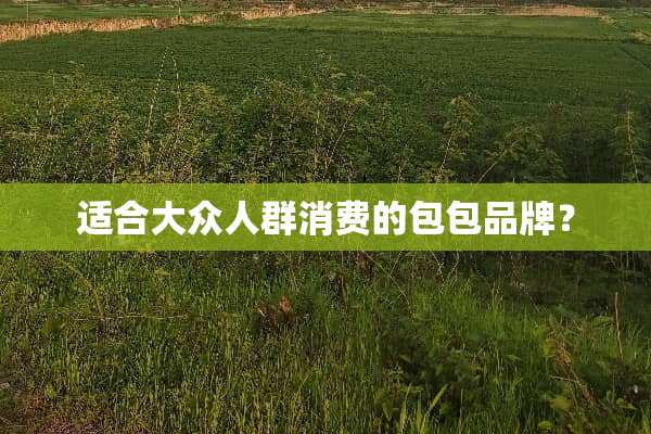 适合大众人群消费的包包品牌？