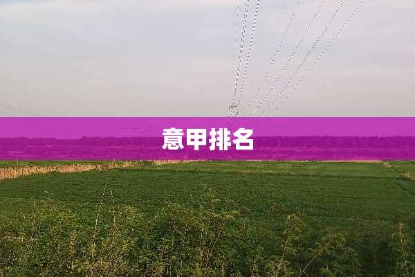 意甲排名