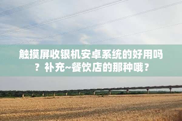 触摸屏收银机安卓系统的好用吗？补充~餐饮店的那种哦？