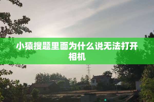 小猿搜题里面为什么说无法打开相机