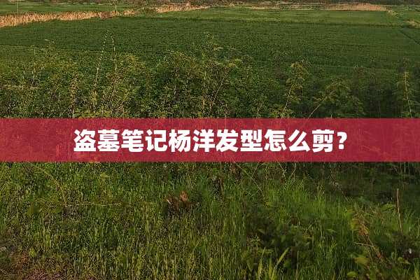 盗墓笔记杨洋发型怎么剪？