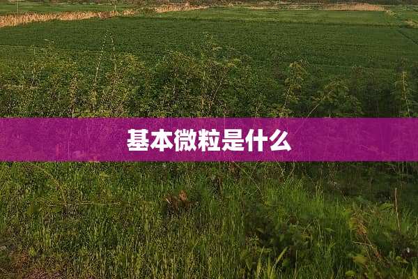基本微粒是什么