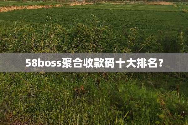 58boss聚合收款码十大排名？