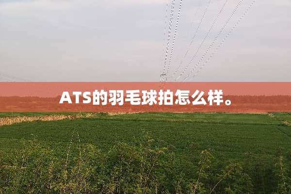 ATS的羽毛球拍怎么样。