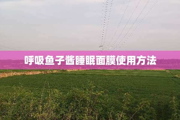 呼吸鱼子酱睡眠面膜使用方法