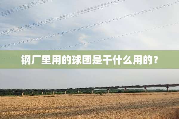 钢厂里用的球团是干什么用的？