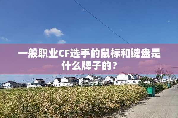 一般职业CF选手的鼠标和键盘是什么牌子的？